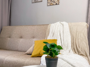 Na Prospekte Lenina 19 Flat