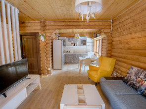 Отель Снегири Village