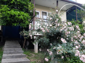 Гостевой дом Мандариновый Рай