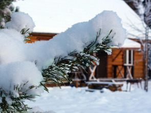 Коттеджный Комплекс Озерный Берег