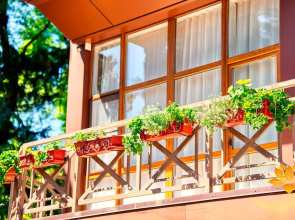 Гостевой дом Грин Клаб Ex Green Club Hotel