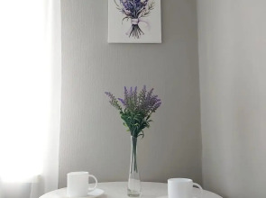 Квартира в Центре на Пл.Куйбышева