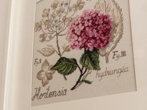 Домашний пансион ПонкаХаус