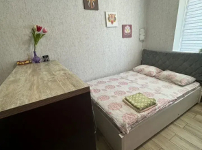 Na Zavodskom Shosse 59b (22) Flat