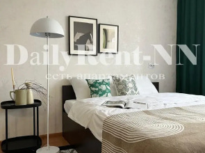Квартира DаilyRent-NN в Нижнем Новгороде