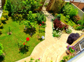 Аристократ (Сириус)