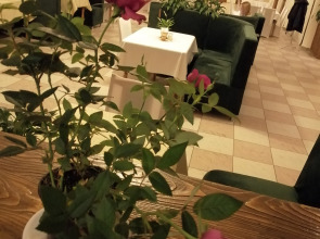 Мини-отель 1812