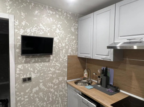 Квартира 1 комнатная у музея