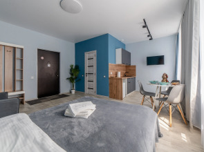 Апартаменты на Покровской Grey №6