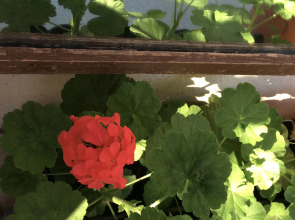 Гостевой Дом Татьяна