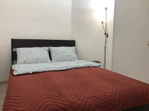 Апартаменты Аренда Квартир в Жуковском Посуточно - Гудкова 20/ 1-ая студия