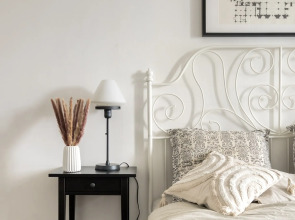 Апартаменты с Видом на Фонтанку