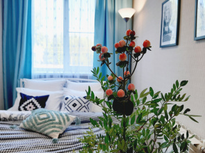Mint Seti Denewhome Na Leninskom Prospekte Apartments