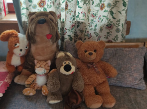 Частный дом Агроусадьба На славу