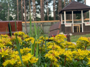 Мини-отель Подснежник