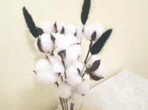 Квартира Хохлова 3