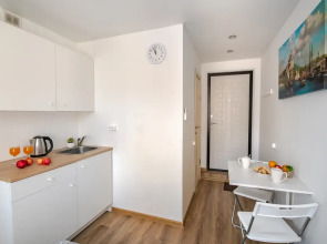 Квартира-студия 1 на Некрасовской