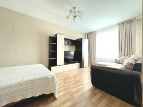 Квартира однокомнатная в центре на Дарвина