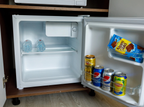 Двухместная улучшенная мини-студия Авион