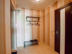 Апартаменты Саквояж Большая Подгорная 57