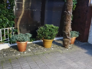 Гостевой дом Бамбуковый Рай