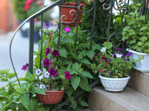 Меблированные комнаты Nifea