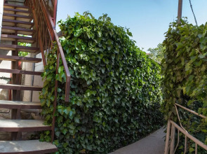 Гостевой Дом Гармония