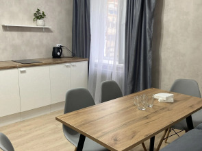 Квартира студия в центре города 50 оттенков серого