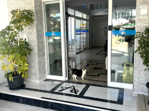 Отель Amsterdam Boutique Otel