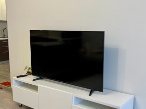 Апартаменты в доме бизнес-класса с видом на Золотой Мост