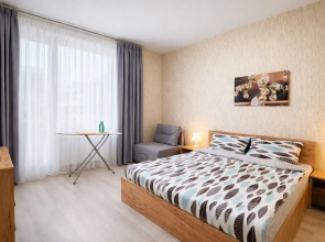 Na  Gertsena 4 Apartments