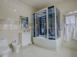 Отель Shah Palace