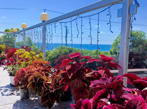 Гостевой дом Villa Soho Sochi Russia
