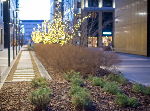 Апартаменты Room2day Soul