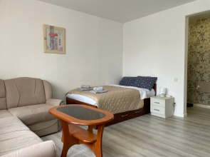 Апартаменты Лес и Шишки