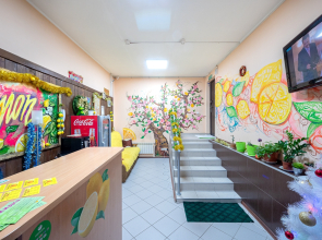 Меблированные комнаты Лимон на Просвещения