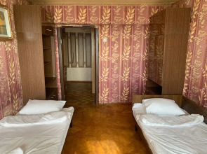 Двухкомнатная квартира в центре города