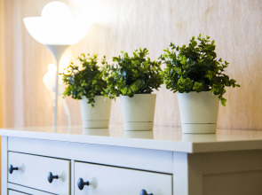 Апартаменты на Маяковского 20