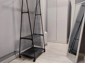 Студия вблизи соснового бора