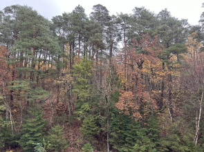 Апартаменты Rauschen Green May