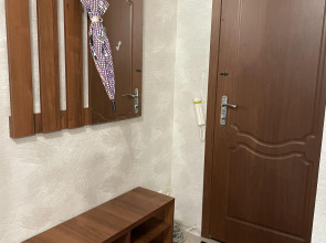 Апартаменты Уютная квартира в самом сердце Владикавказа