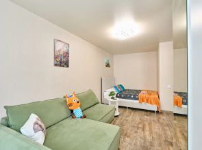 Квартира Однокомнатная квартира по адресу Баумана 19