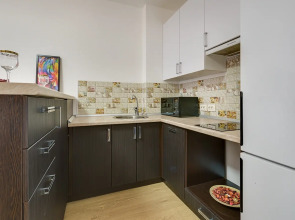 Квартира студия недалеко от центра Санкт-Петербурга 3