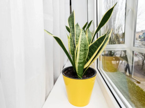 Апартаменты Сердце Города