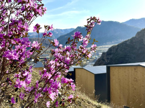 Горная усадьба ALTAYPIC