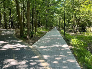 Апартаменты MOOV Apart Park Стандарт