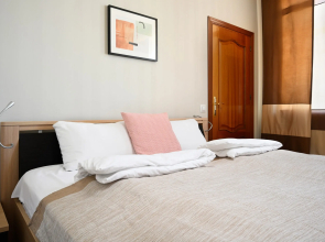 Апартаменты  1912 с видом на крыши Петроградки и Телебашню