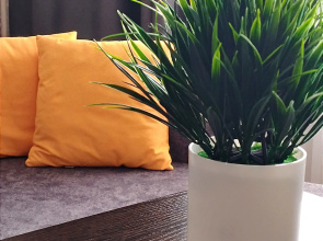Serebryanye Klyuchi Tyumen Flat