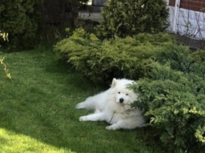 Вилла Favola