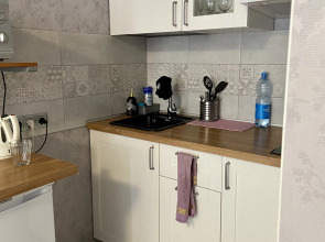 Апартаменты Евродвушка на Мичуринской